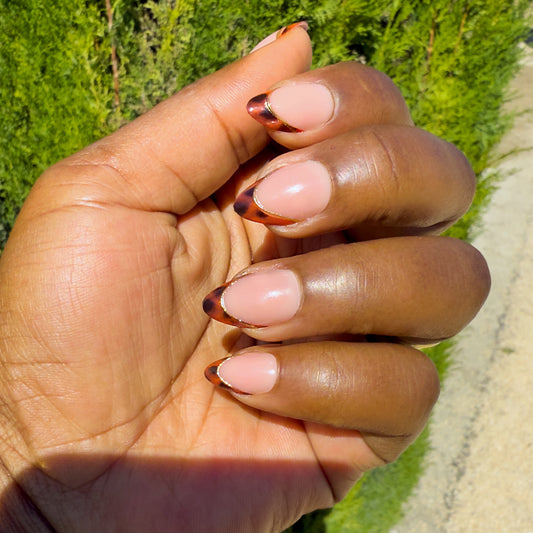 Léa-French tortoise